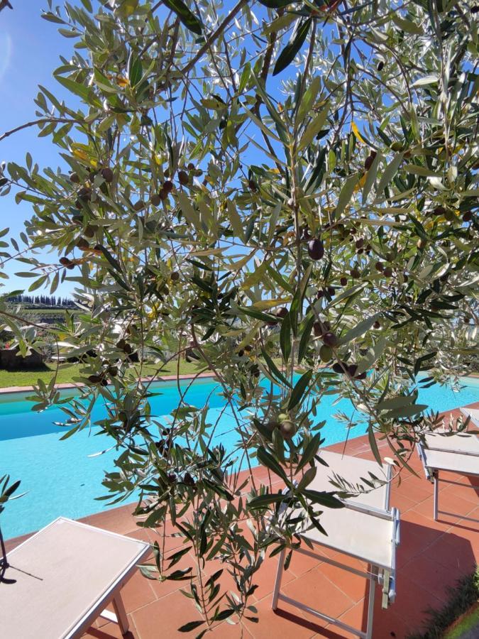 Agriturismo Sommassa Greve in Chianti Luaran gambar