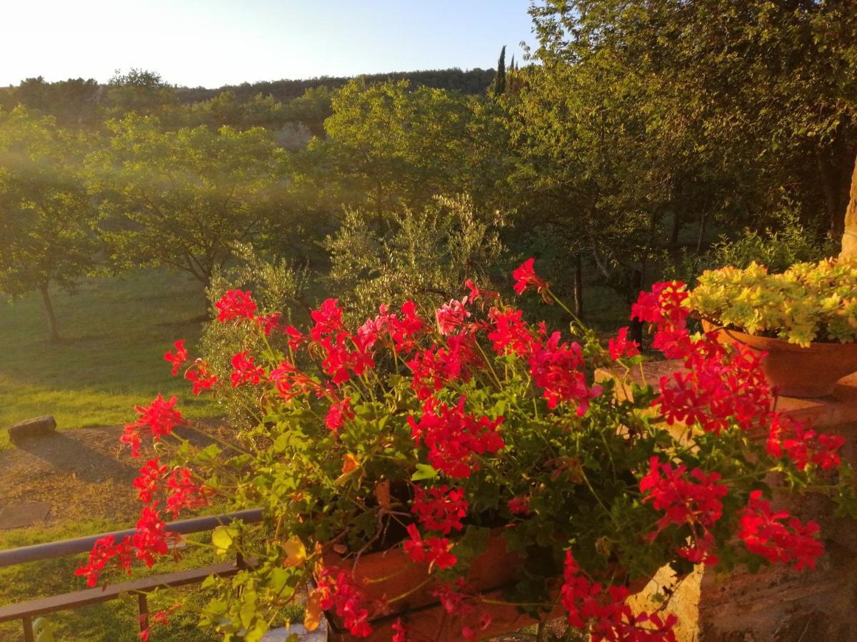 Agriturismo Sommassa Greve in Chianti Luaran gambar