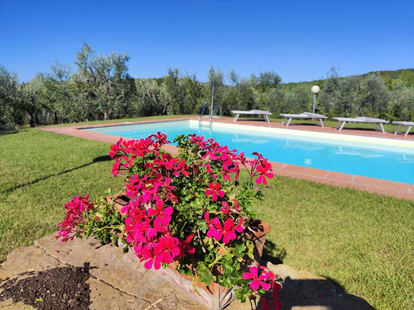 Agriturismo Sommassa Greve in Chianti Luaran gambar